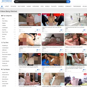 BestPornFlix 封面