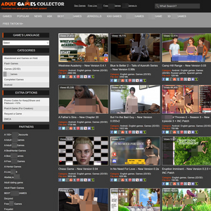 AdultGamesCollector 封面