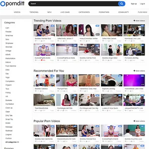 PornDitt 封面