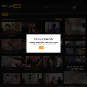 WedgieTube 封面