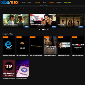 BibaMax 封面