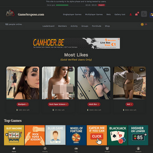 GameSexpose 封面