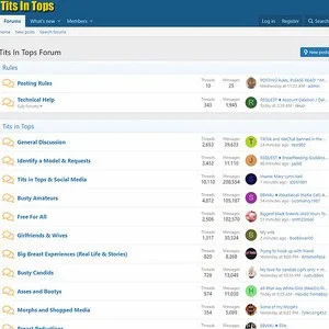 TitsInTops Forum 封面