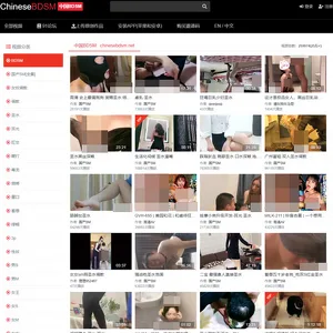 Chinese BDSM 封面