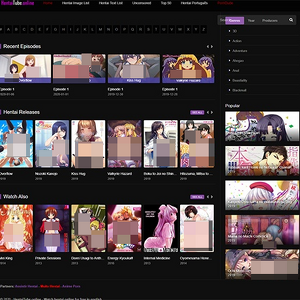 HentaiTube.online 封面
